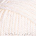 Shetland Chunky 601 - 2
