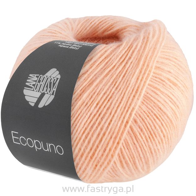 Ecopuno  99