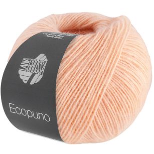 Ecopuno  99