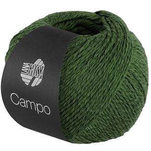 Campo  31