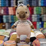 Cotone    140 - 12