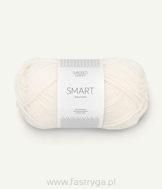 Smart  1001