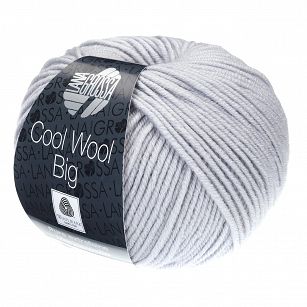Cool Wool Big  928 popiel