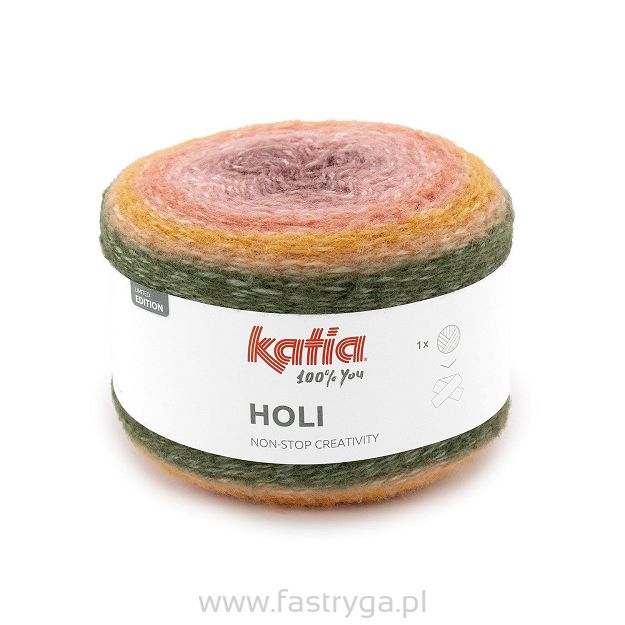 Holi   504