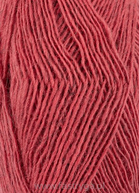 Fiallalopi  3072