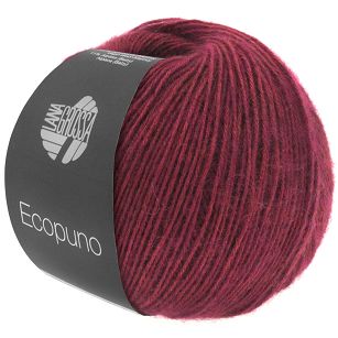 Ecopuno 035