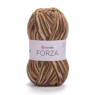 Forza  2511