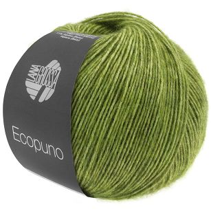 Ecopuno 002