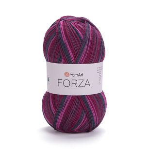 Forza  2508