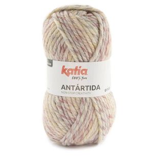 Antartida  306