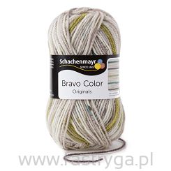 Bravo Color  2108