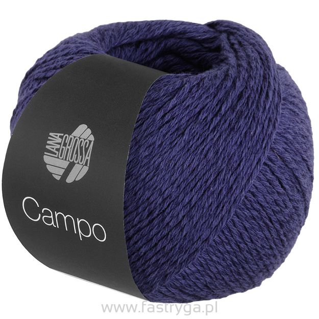 Campo  07