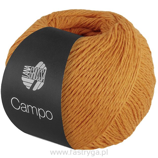 Campo  29