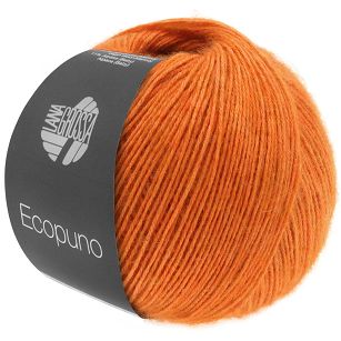 Ecopuno 005