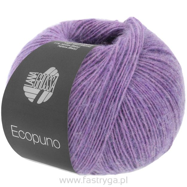 Ecopuno 084