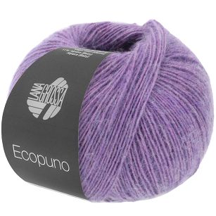 Ecopuno 084