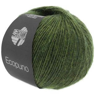Ecopuno 001